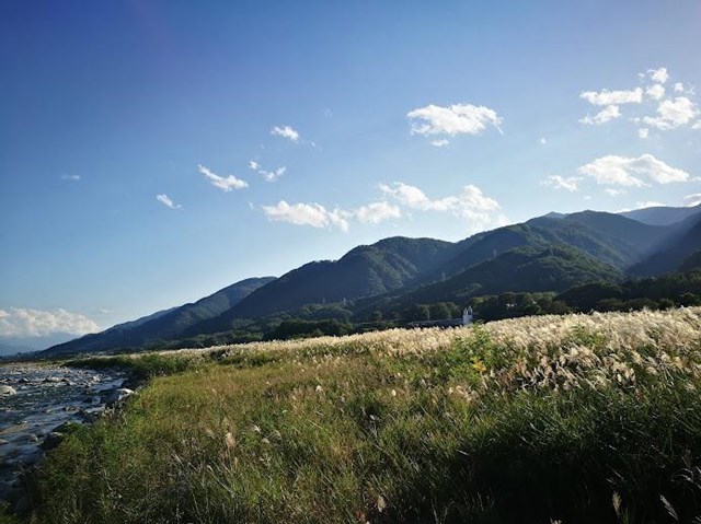 韮崎市円野 午頭島公園 カヤネズミ調査