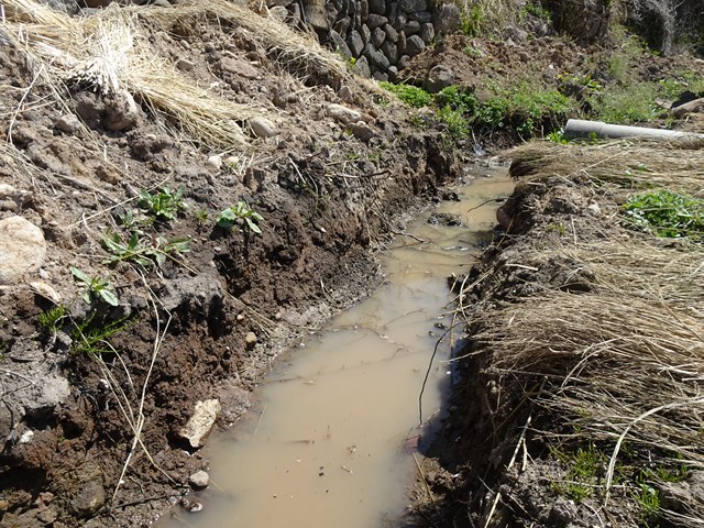 近くの水路